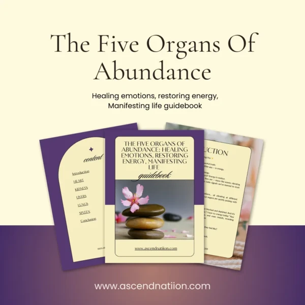 printable workbook and digital healing guide