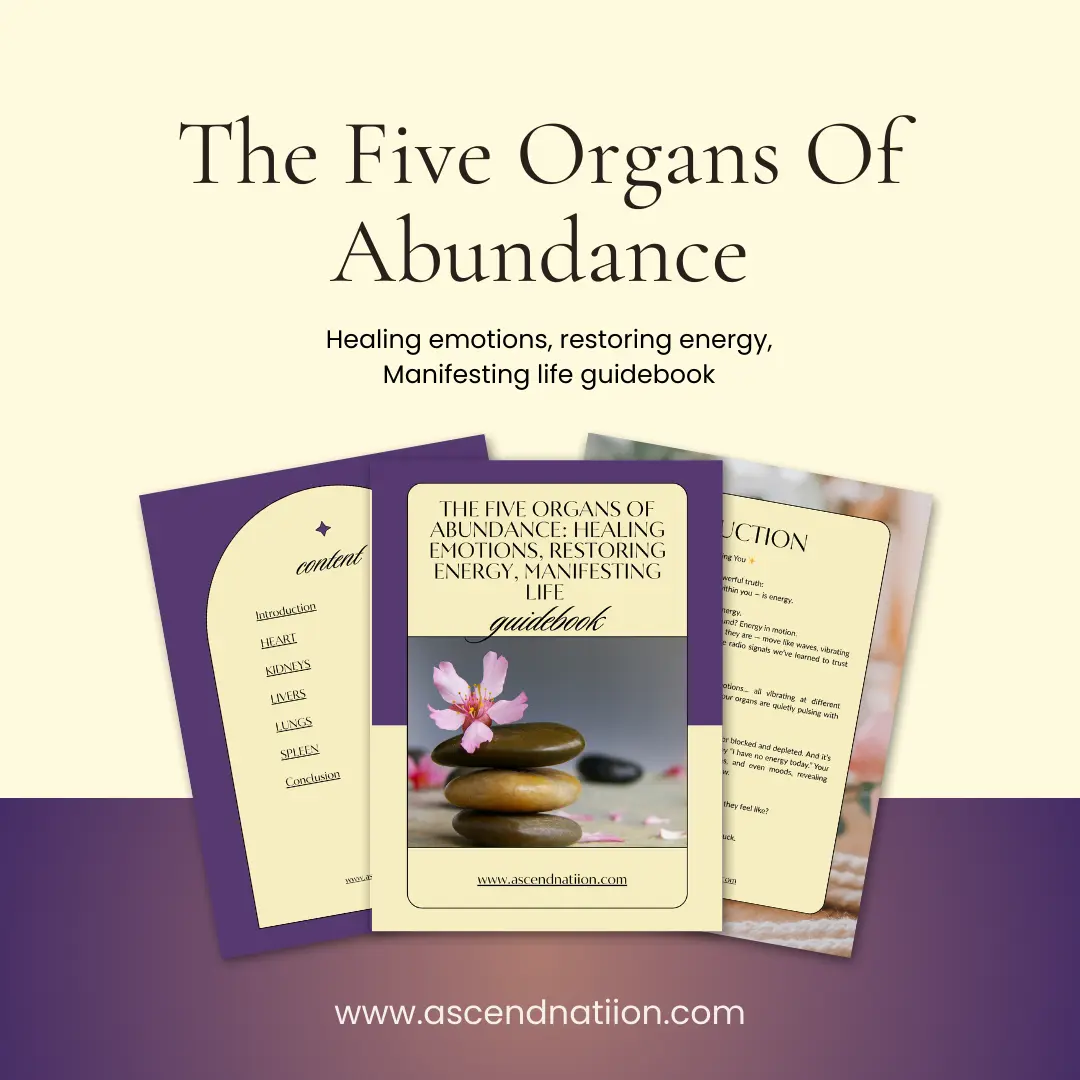 printable workbook and digital healing guide
