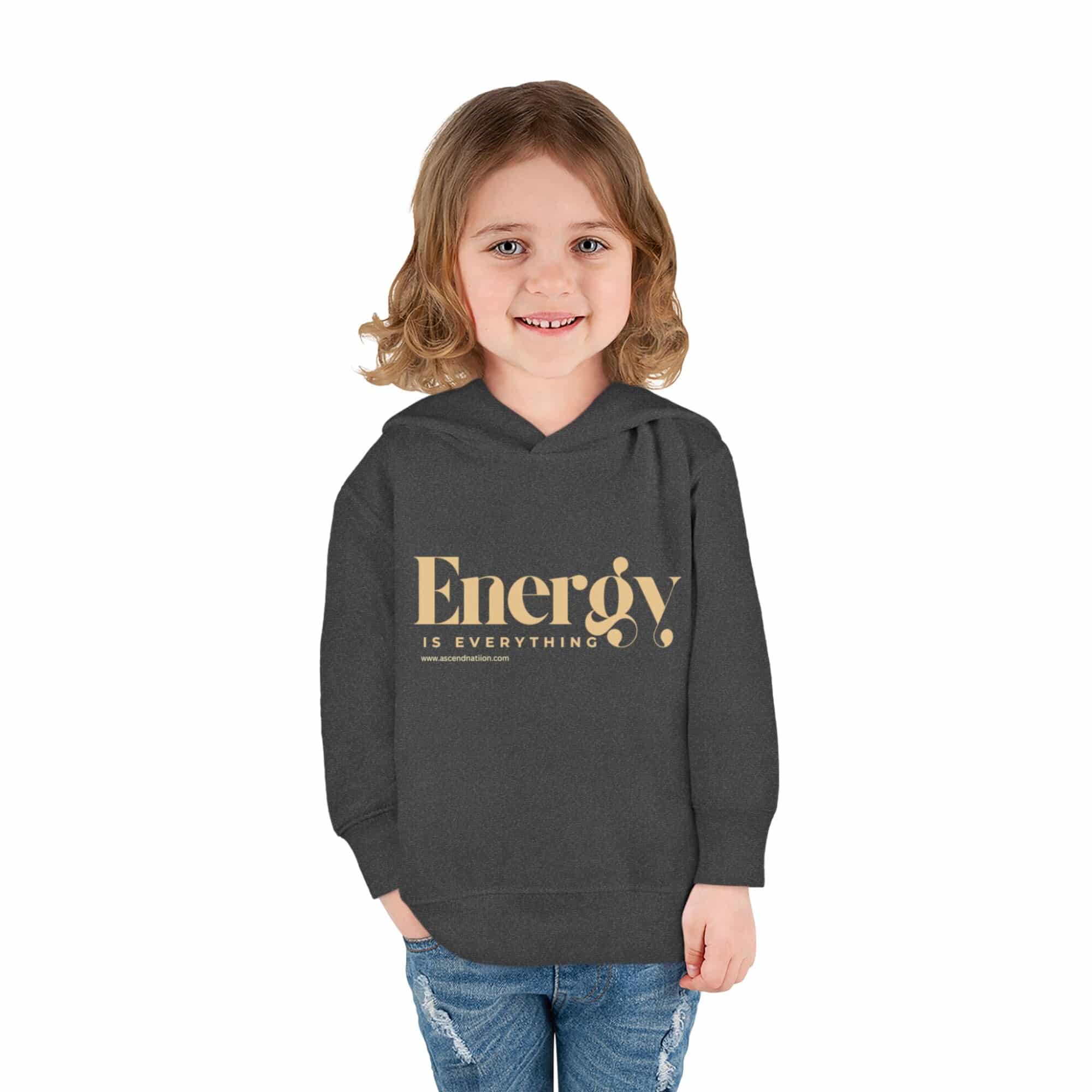 Energy Is Everything  Pullover Fleece Hoodie(Toddlers) - Image 8