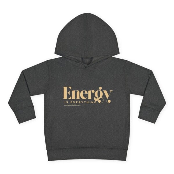 Energy Is Everything  Pullover Fleece Hoodie(Toddlers) - Image 5