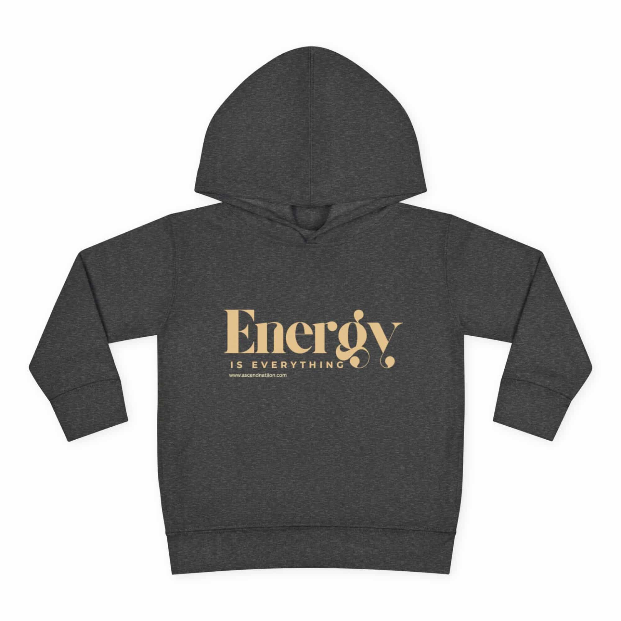 Energy Is Everything  Pullover Fleece Hoodie(Toddlers) - Image 5