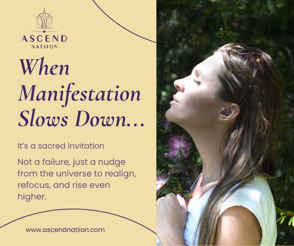 manifest everything you want